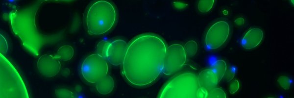 GenomicsUnit Profile Banner
