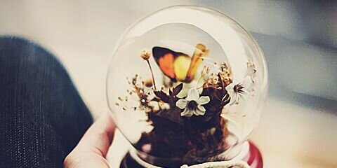 rjfifi's profile banner image
