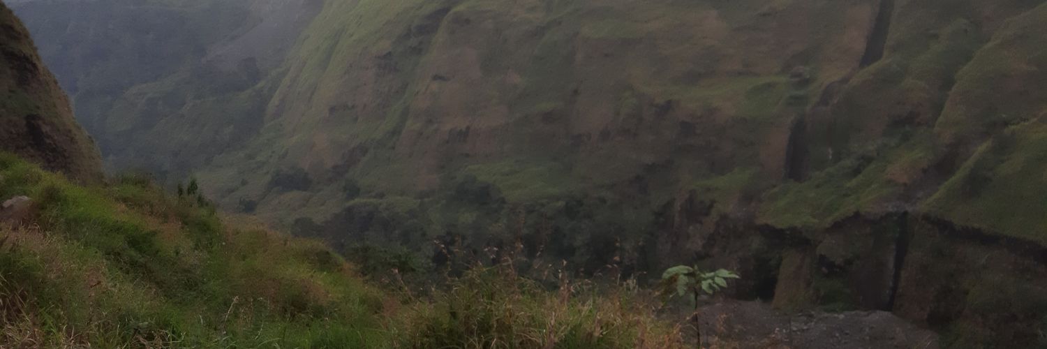 shdqdwp's profile banner image