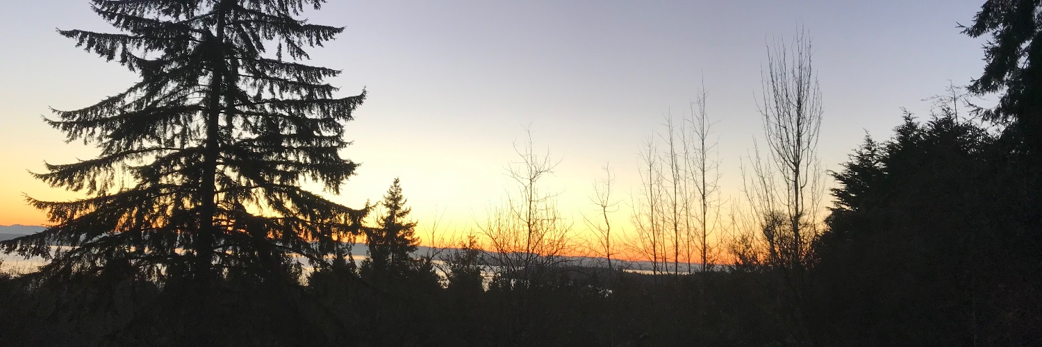 LilPeaceComfort's profile banner image