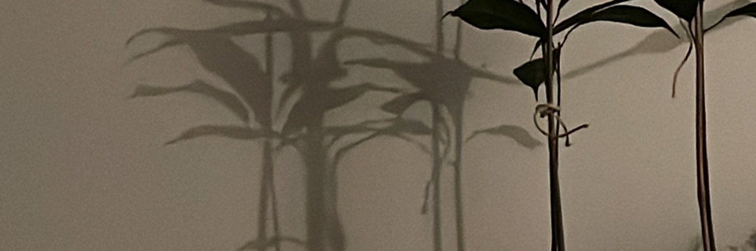 suceur pro max banner