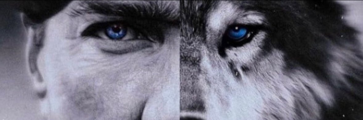 Mine İşeri  〽 banner