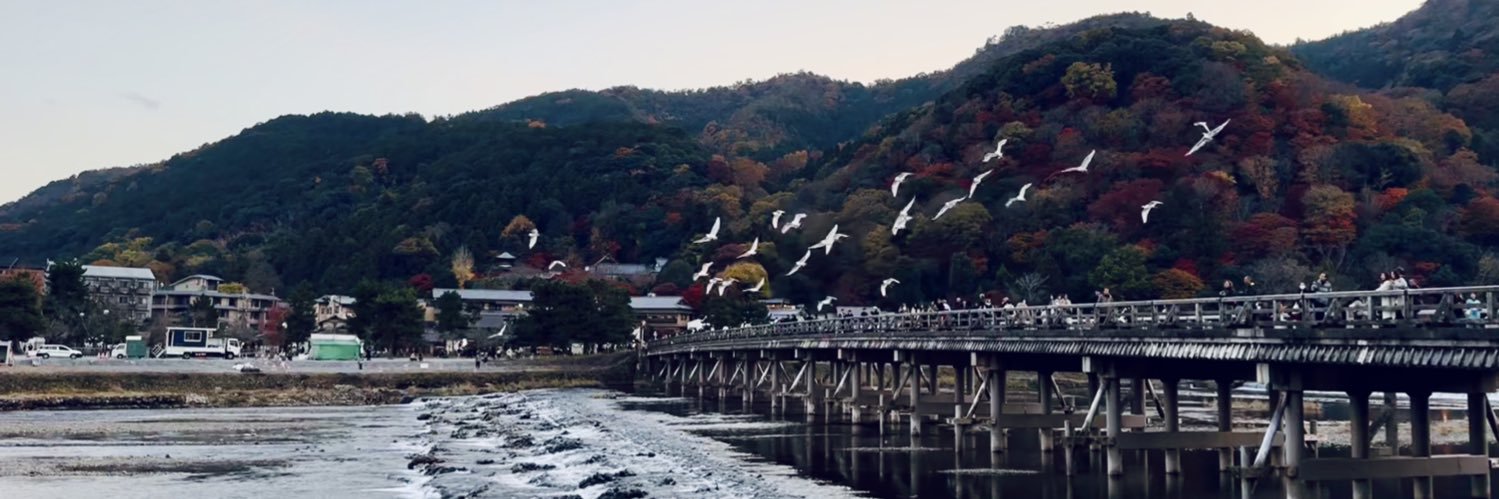 a_z233's profile banner image