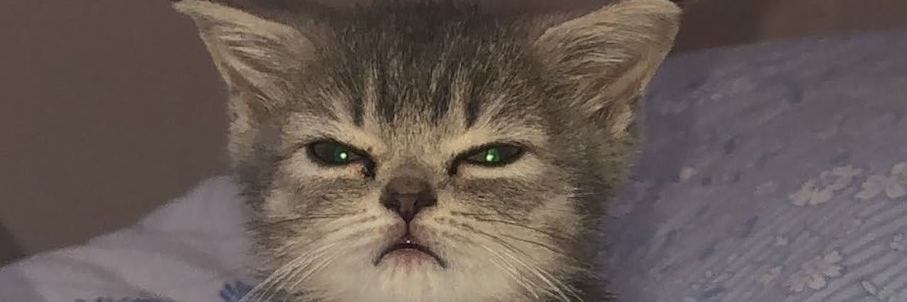 mochijiminnnn's profile banner image