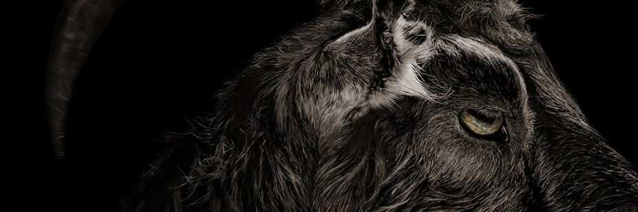 🏴 BURN THE WITCH 🔥🧙‍♀️🔥 banner