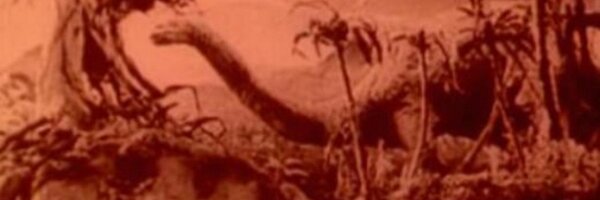 pazespa Profile Banner