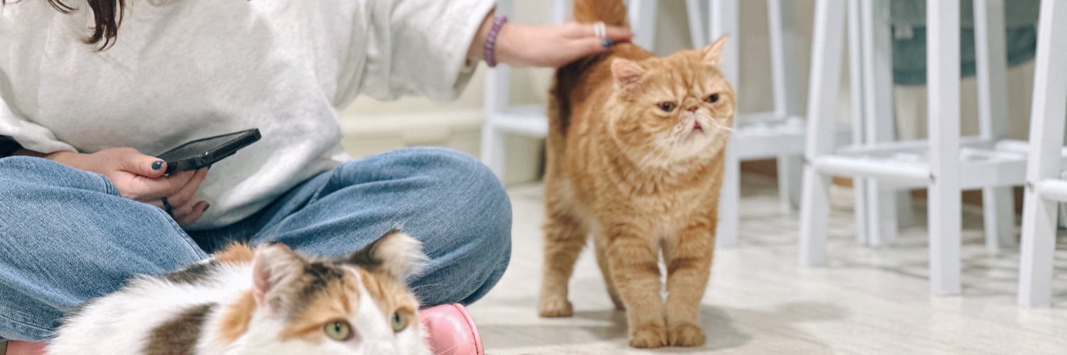 はるコーグ🐻‍ banner