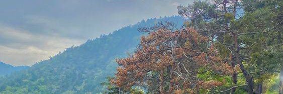 HhsSAINJjoON's profile banner image