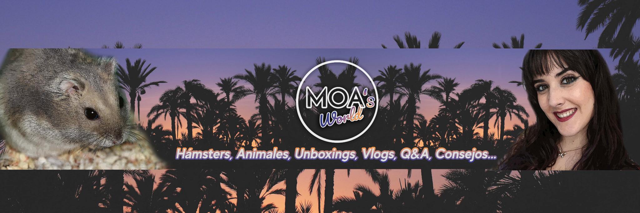 MOA's World (@moasworld) / Posts / X