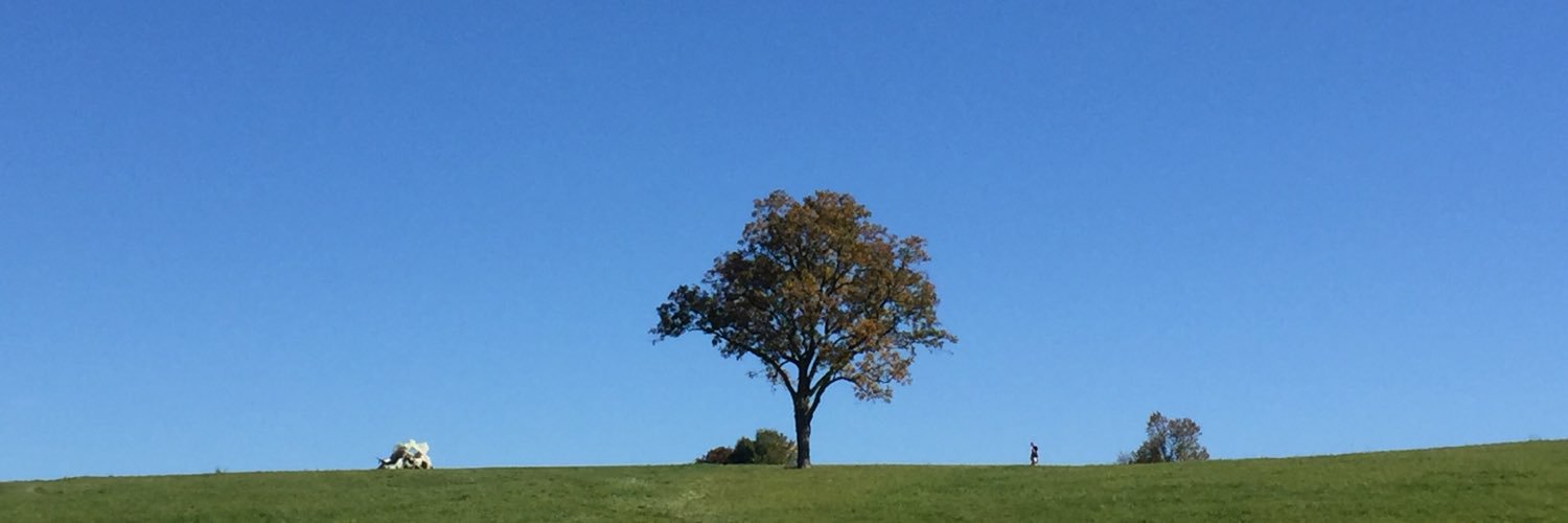 lutzey3's profile banner image