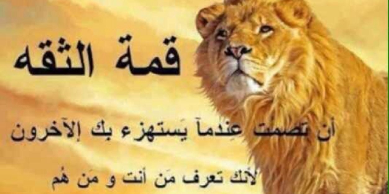 borahaaf's profile banner image