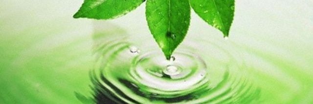 AndyBoe22's profile banner image
