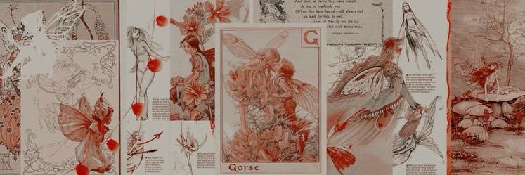 violetaxayala's profile banner image