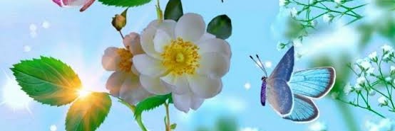 Gemaamiga's profile banner image