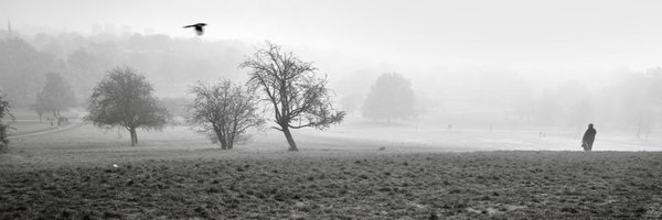 anitachaudhuri Profile Banner