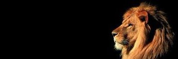 Asajohnson55 Profile Banner