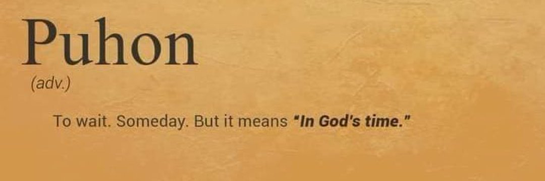 seanenrie's profile banner image