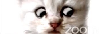 7Willow33's profile banner image