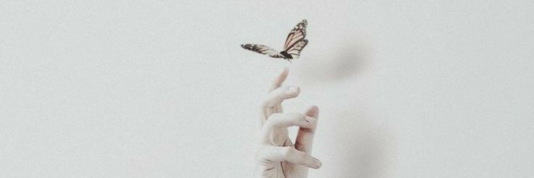 iris_murcia's profile banner image