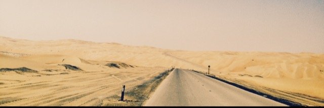 izzypheasant's profile banner image