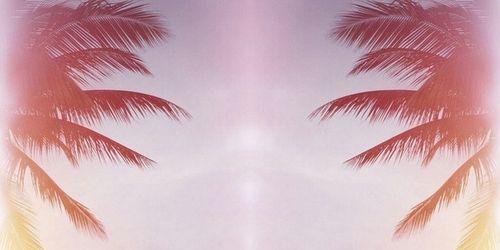 zulemaresty's profile banner image