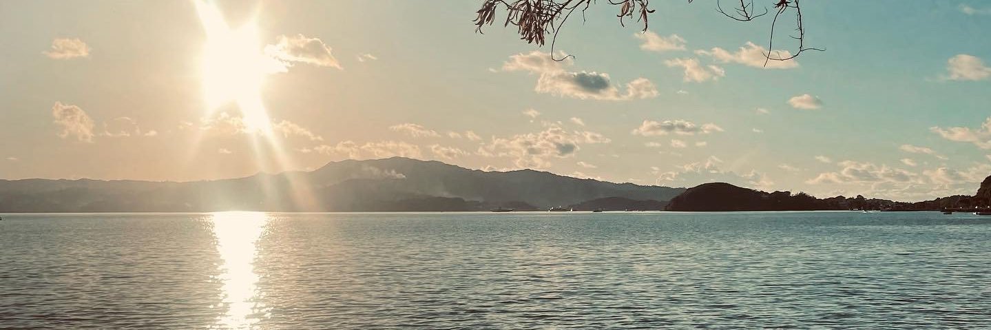 🩸Nēfęrtårį. 🐆 banner