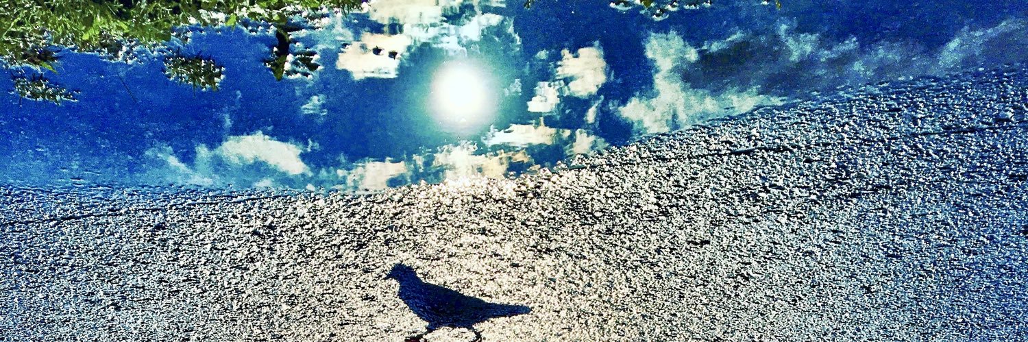 iG_oo's profile banner image