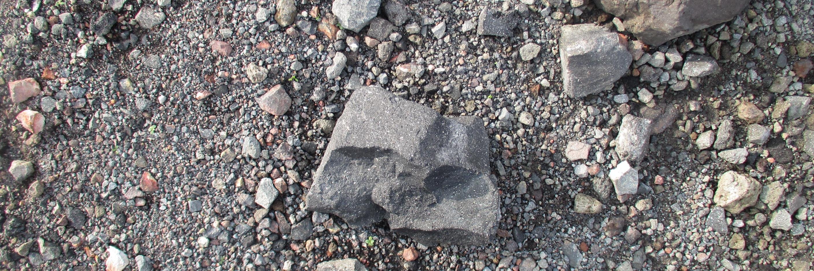 Roberta Gentry banner