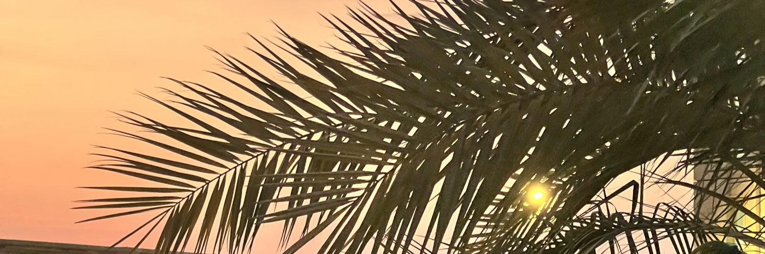 حسبي الله ونعم الوكيل على كل من يضرني banner