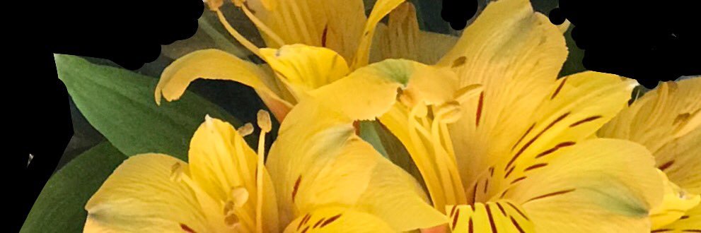 BT_Cozer's profile banner image