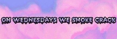 lizbehaving's profile banner image