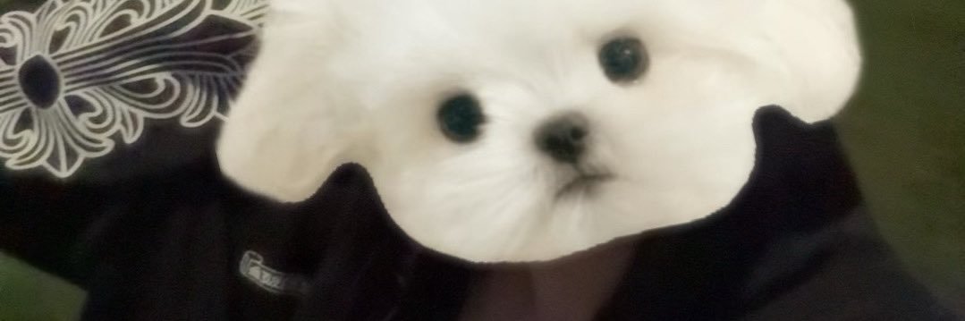 ある banner