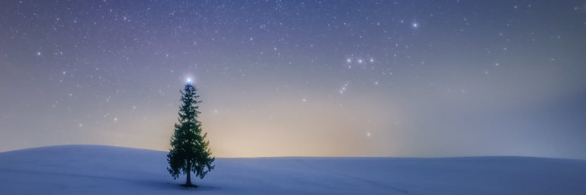 ゆりちゃん banner