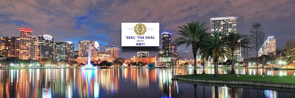 Amy Seelman banner