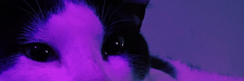babibbk's profile banner image