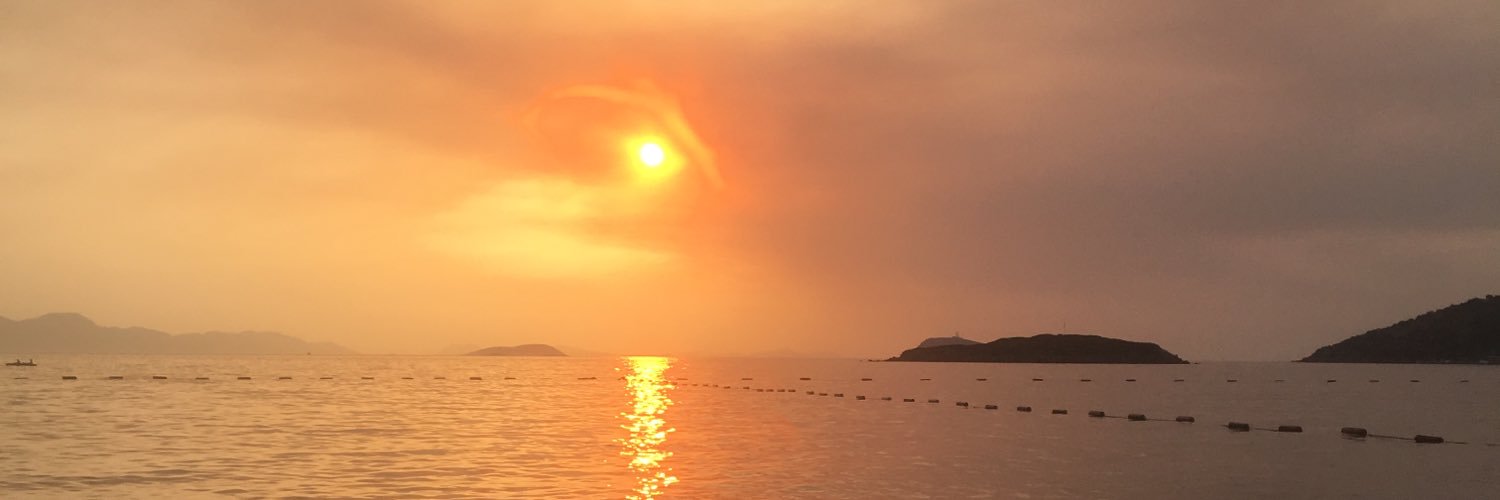 minemsii's profile banner image