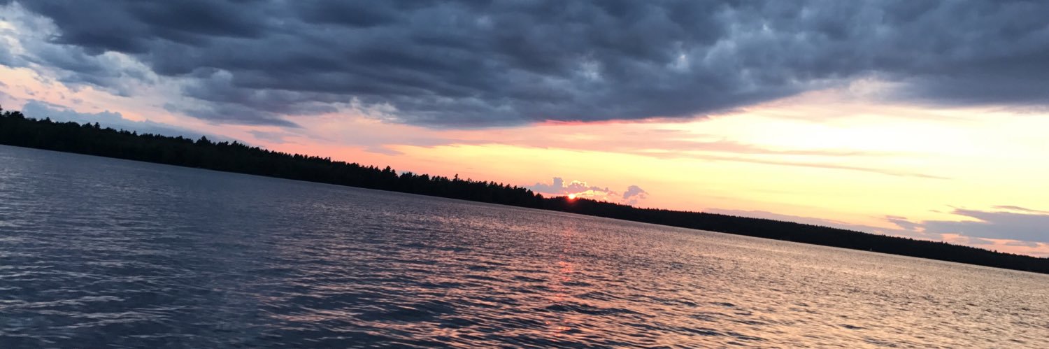 mattringler_'s profile banner image