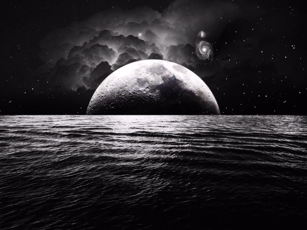 LeylaLovee's profile banner image