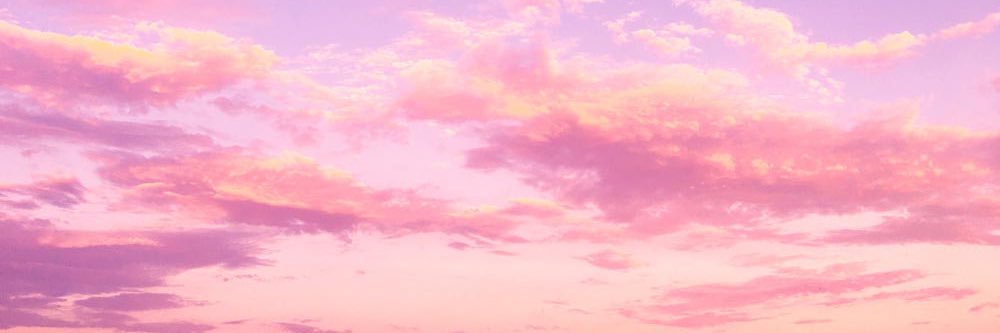 meaghanmilone11's profile banner image