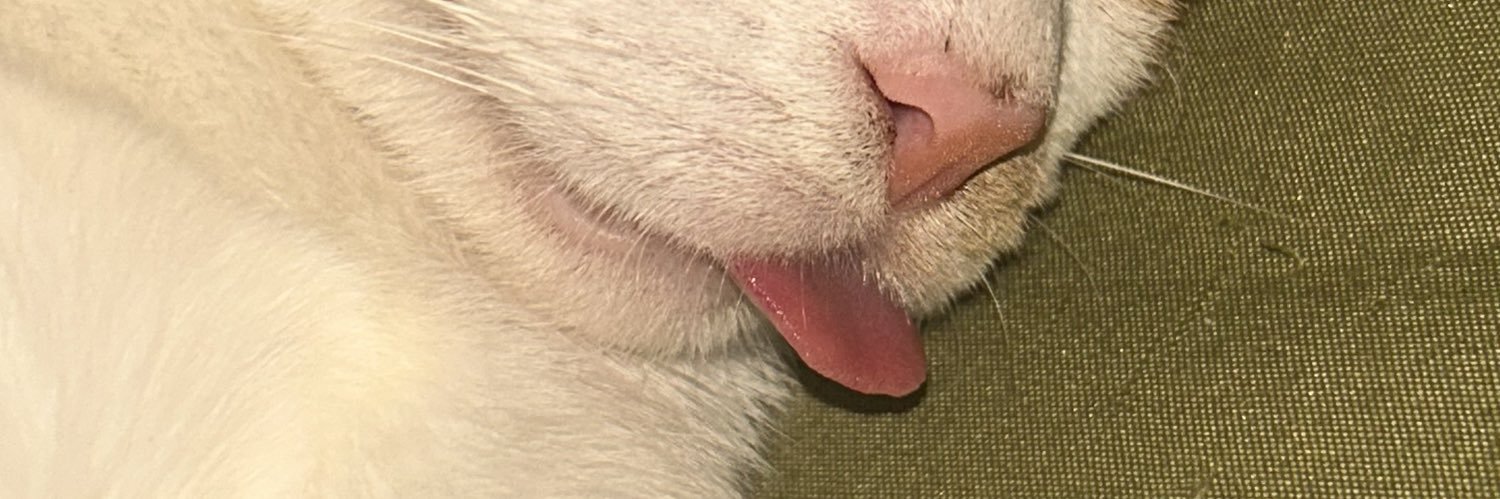 atikaul's profile banner image