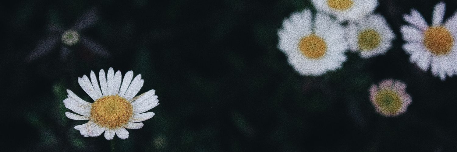 Fitrinurist's profile banner image