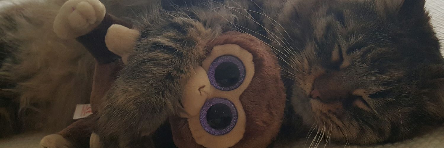 Cnyr3bel's profile banner image