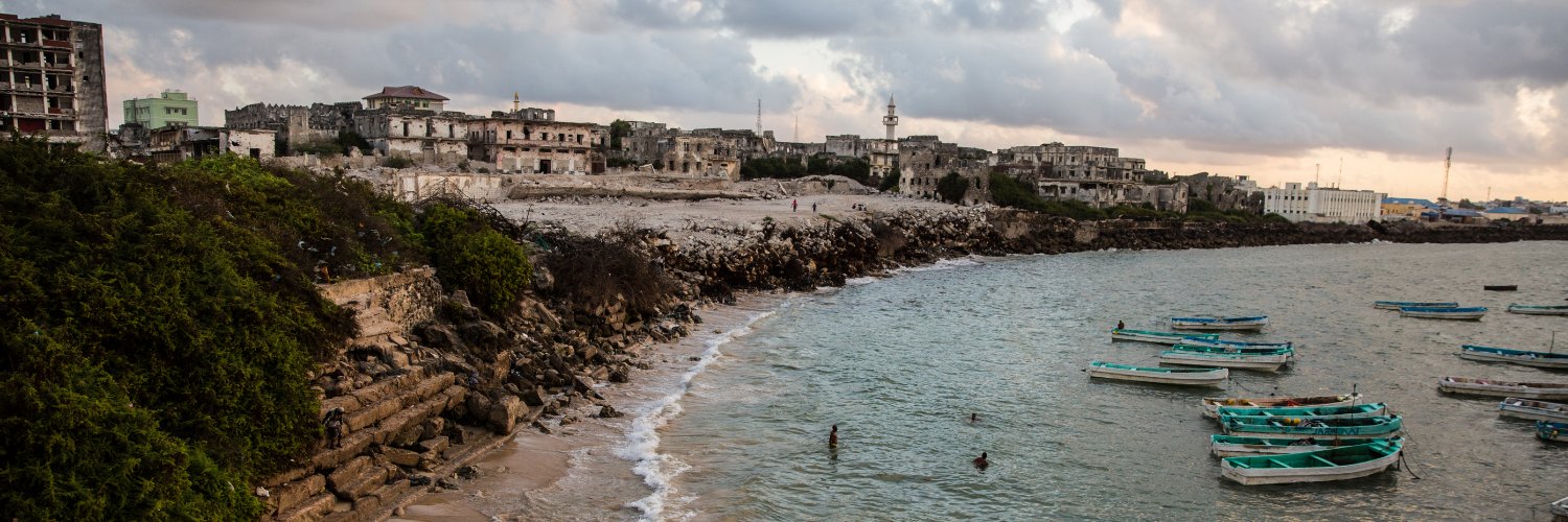 Christina Goldbaum banner