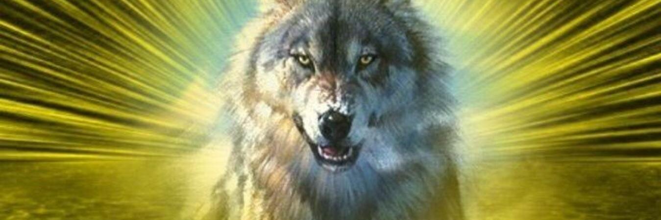 hovmester1's profile banner image