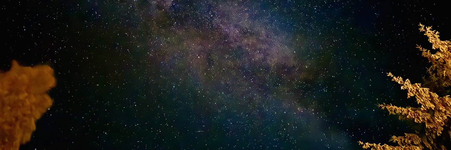 David A Byron banner