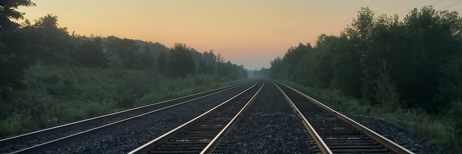 RorQuig's profile banner image