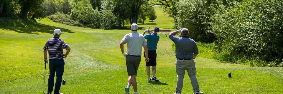 Trethorne Golf Club and Hotel banner