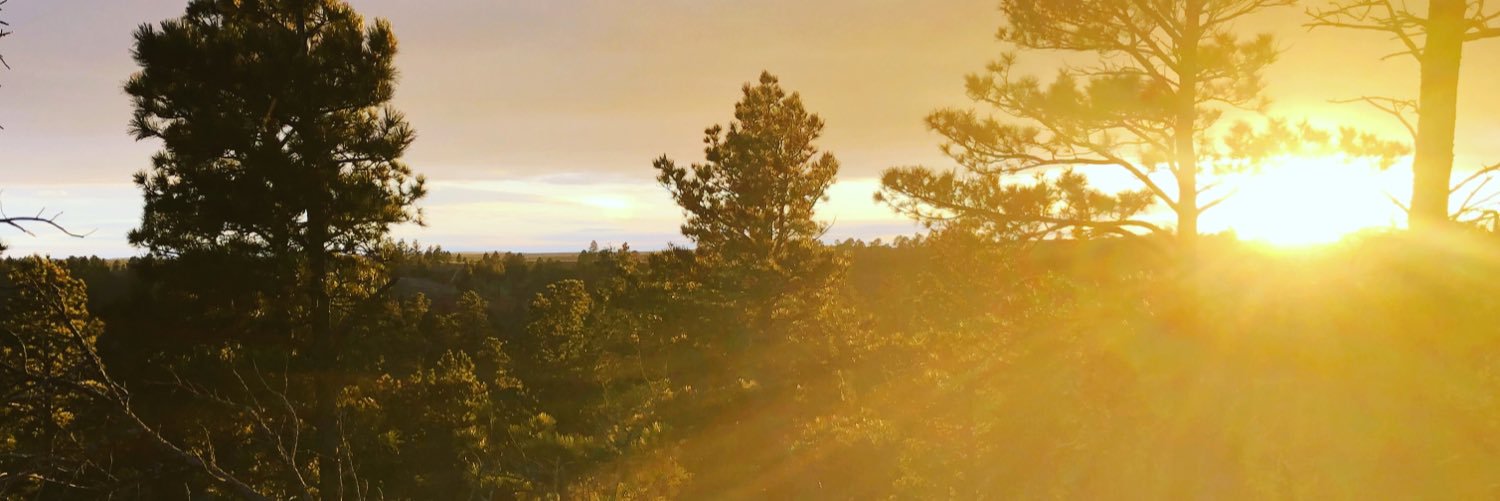 Robbysaurusrex's profile banner image