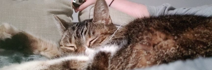 Lucas 💗💜💙 banner