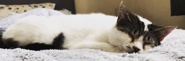 CarCrashHeart_'s profile banner image